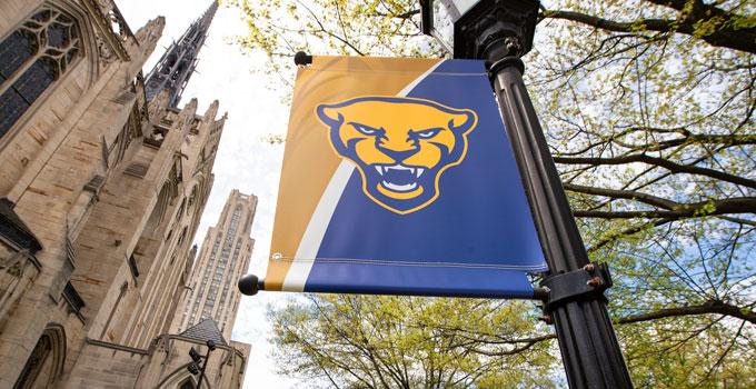 Spring Campus Panther Flags