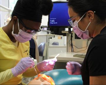 dental apprenticeship program