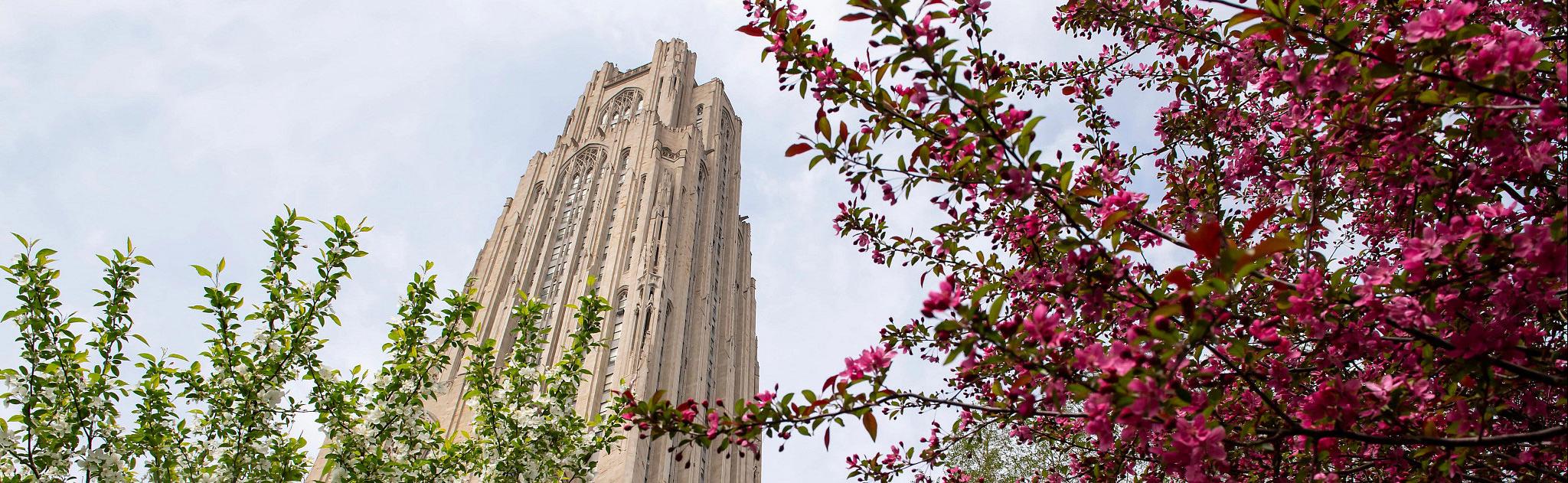 Cathedral of Learning
